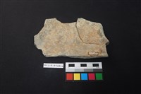 陶片藏品圖，第2張