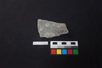 陶片藏品圖，第2張