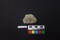 陶片藏品圖，第2張