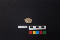 陶片藏品圖，第2張