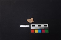 陶片藏品圖，第2張