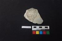 陶片藏品圖，第1張