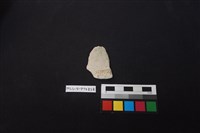 陶片藏品圖，第2張