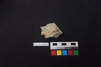 陶片藏品圖，第2張