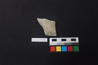 陶片藏品圖，第2張