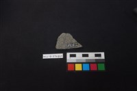 陶片藏品圖，第2張