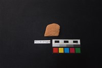 陶片藏品圖，第1張