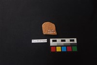 陶片藏品圖，第2張