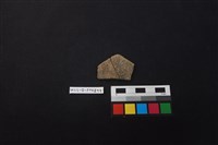 陶片藏品圖，第1張