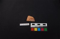 陶片藏品圖，第2張