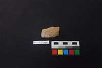 陶片藏品圖，第2張