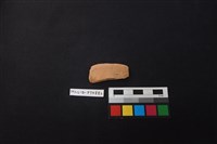 陶片藏品圖，第1張