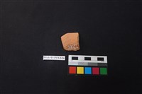 陶片藏品圖，第2張