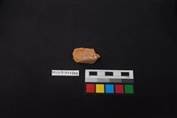 陶片藏品圖，第2張