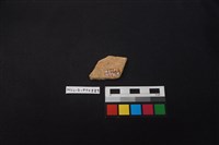 陶片藏品圖，第2張
