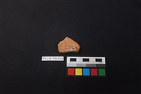 陶片藏品圖，第2張