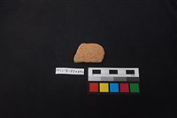 陶片藏品圖，第1張