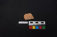 陶片藏品圖，第2張