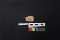 陶片藏品圖，第2張