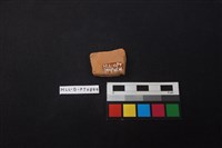 陶片藏品圖，第2張