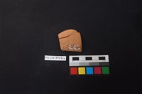 陶片藏品圖，第2張