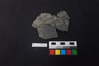 陶片藏品圖，第1張