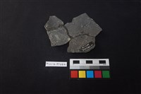 陶片藏品圖，第2張