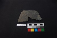 陶片藏品圖，第1張