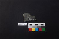 陶片藏品圖，第2張