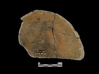 陶缽藏品圖，第2張