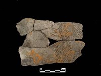 陶片藏品圖，第1張