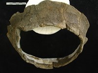 陶片藏品圖，第1張