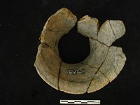 陶片藏品圖，第2張