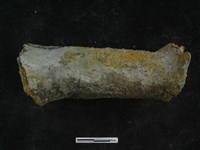 陶獸足藏品圖，第1張