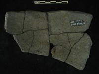 陶片藏品圖，第2張