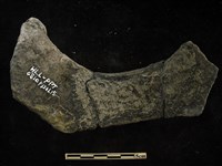 陶片藏品圖，第2張