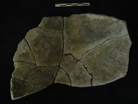 陶片藏品圖，第2張