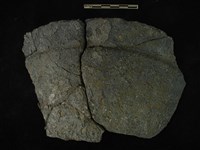 陶片藏品圖，第1張