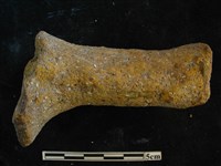 陶獸足藏品圖，第1張