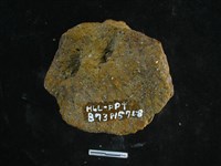 陶獸足藏品圖，第2張