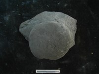 陶蓋藏品圖，第2張