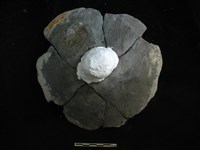 陶蓋藏品圖，第1張