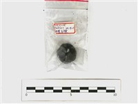 油葉石櫟藏品圖，第1張