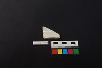 瓷杯藏品圖，第2張