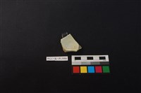 瓷片藏品圖，第1張