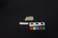 瓷碗藏品圖，第2張