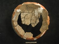 陶片藏品圖，第2張