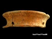 陶片藏品圖，第1張