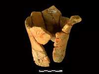 連杯形器藏品圖，第2張