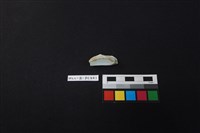 瓷片藏品圖，第2張